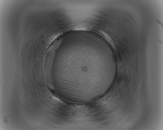 X0000096660385200802191312