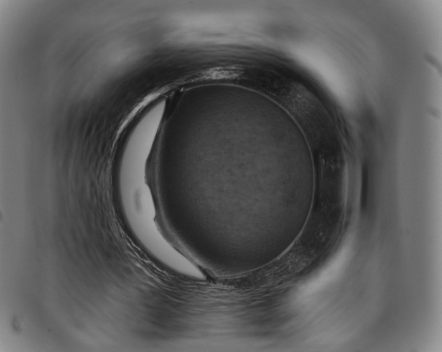 X0000096660387200802191312