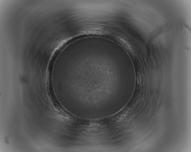 X0000096660388200802191312