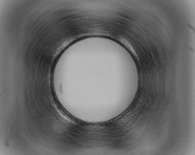 X0000096660389200802191312