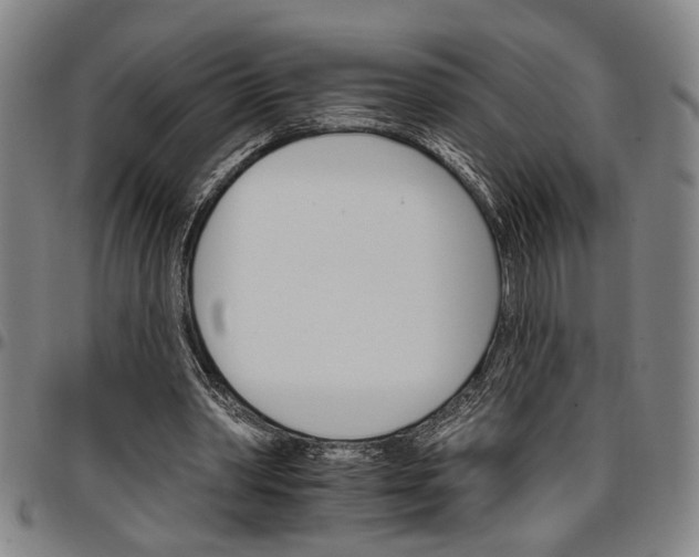 X0000096660390200802191312