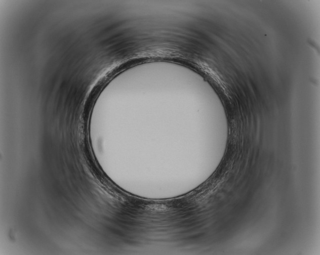 X0000096660392200802191312