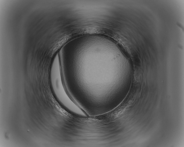 X0000096660393200802191312