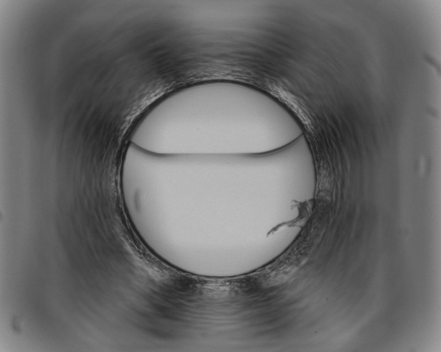 X0000096660394200802191312