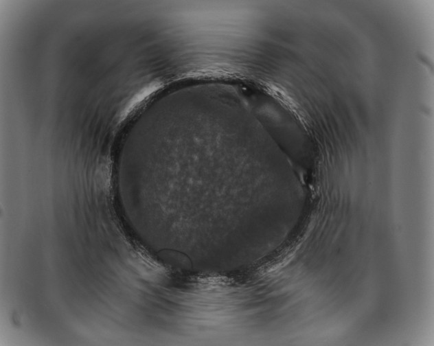 X0000096660396200802191311