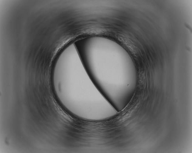 X0000096660399200802191311