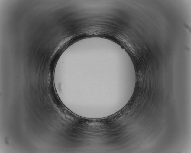 X0000096660400200802191311