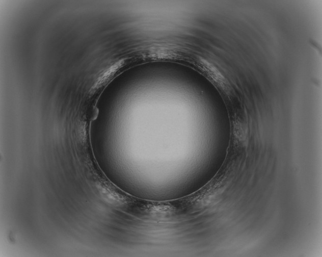 X0000096660401200802191311