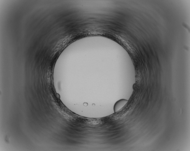 X0000096660402200802191311