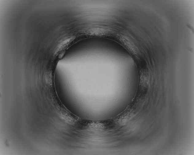 X0000096660403200802191311