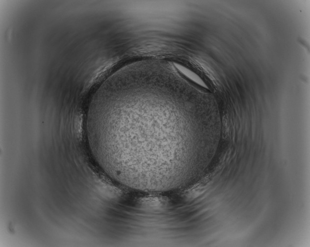 X0000096660404200802191311