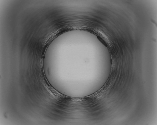 X0000096660405200802191311