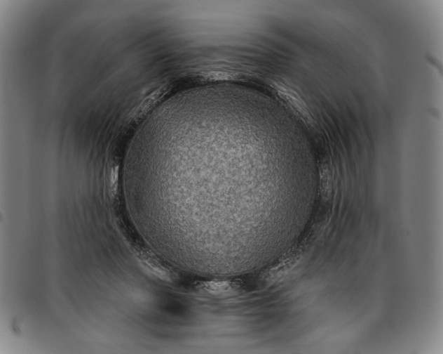 X0000096660406200802191311