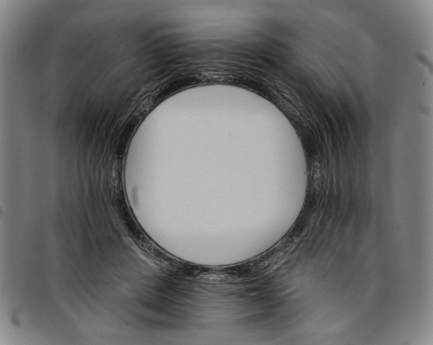 X0000096660408200802191311