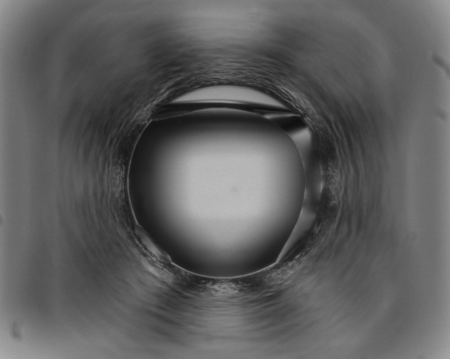 X0000096660409200802191311