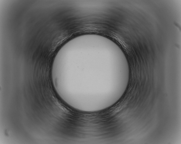 X0000096660411200802191311