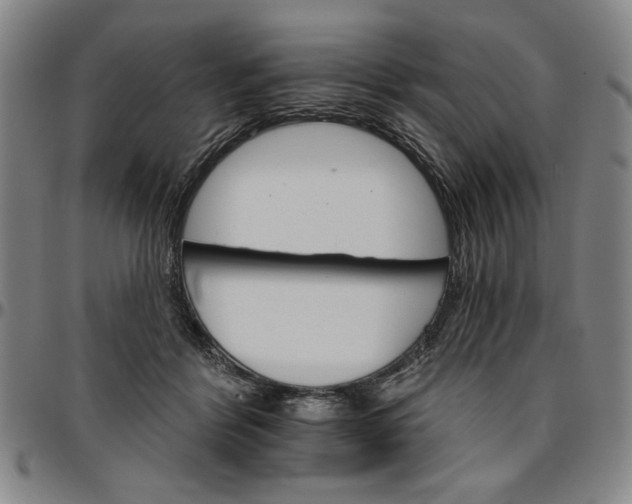 X0000096660412200802191311