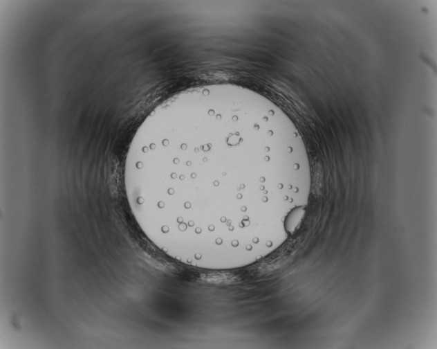 X0000096660414200802191311