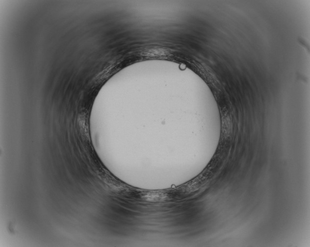 X0000096660415200802191311