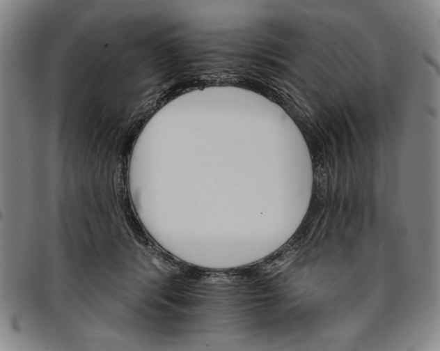 X0000096660416200802191311