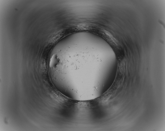 X0000096660418200802191311