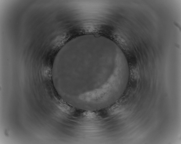 X0000096660419200802191311