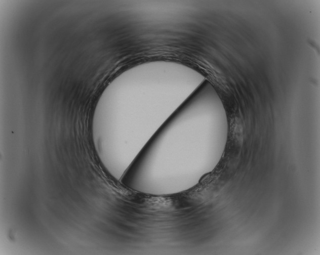 X0000096660421200802191311