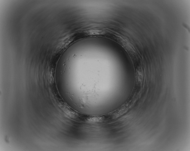 X0000096660422200802191311