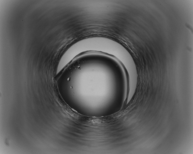 X0000096660423200802191311