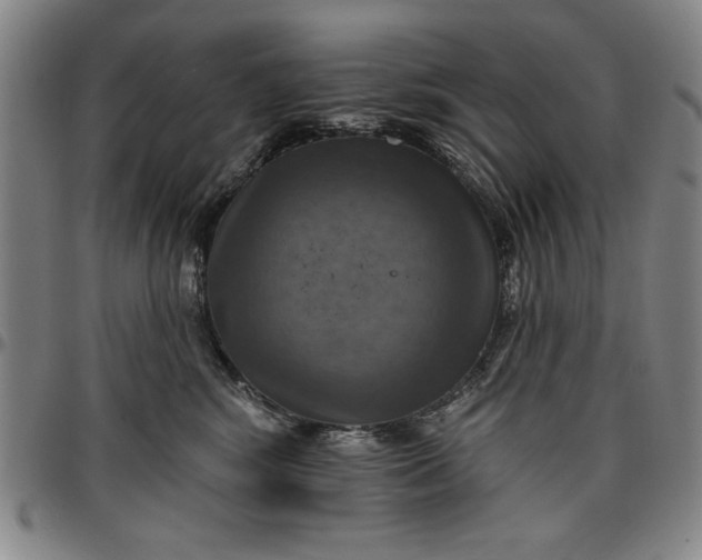 X0000096660424200802191311