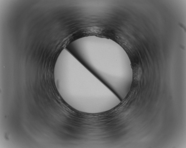 X0000096660425200802191311