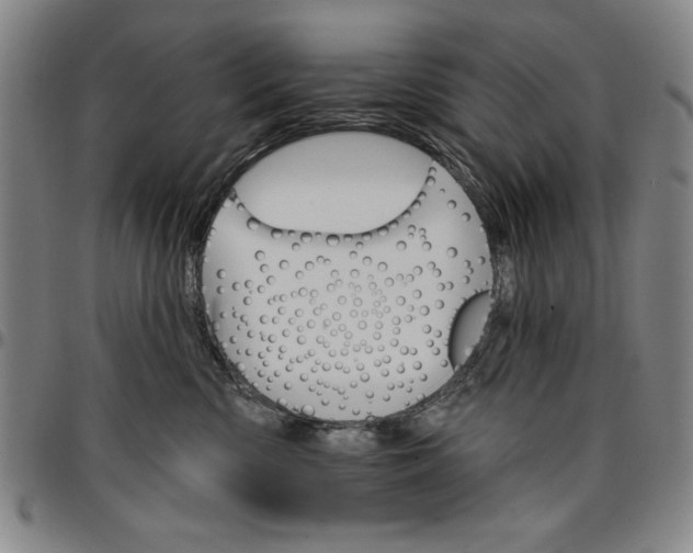 X0000096660426200802191311