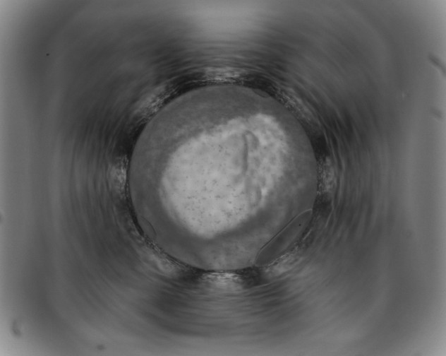 X0000096660427200802191311