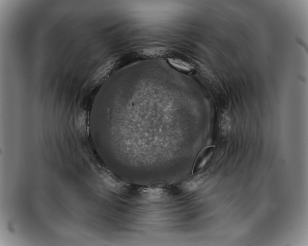 X0000096660428200802191311