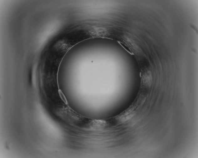 X0000096660429200802191311