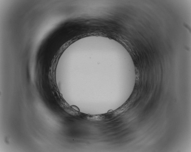 X0000096660430200802191311