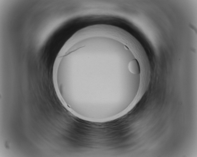 X0000096660431200802191311