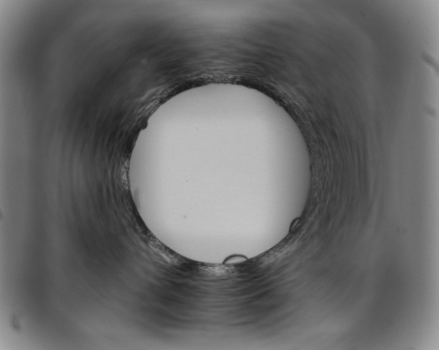 X0000096660432200802191311