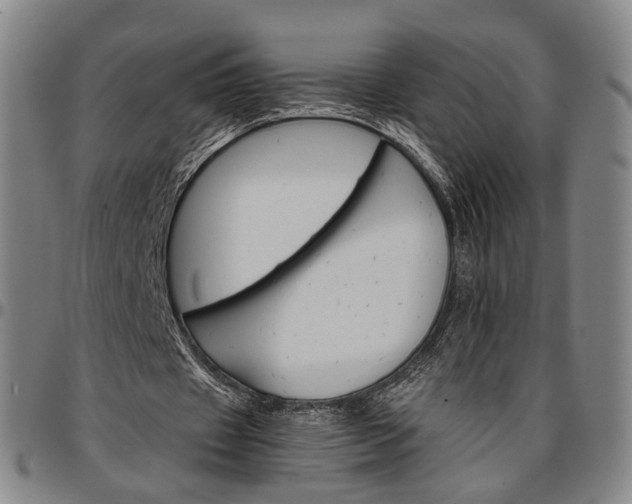 X0000096660433200802191310