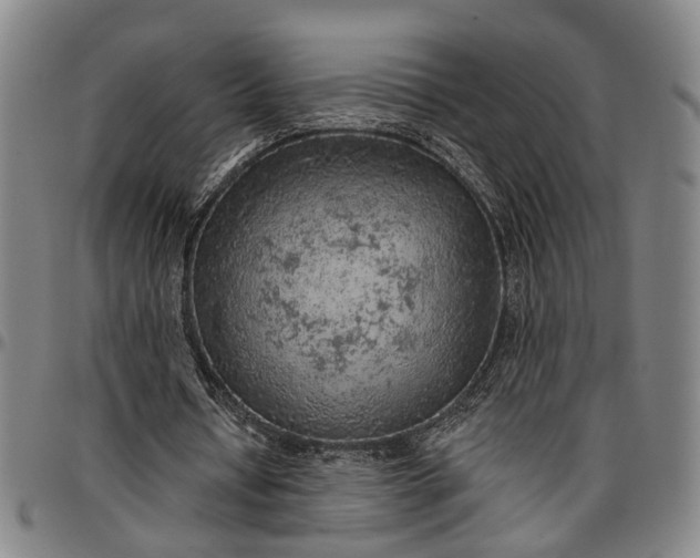 X0000096660434200802191310