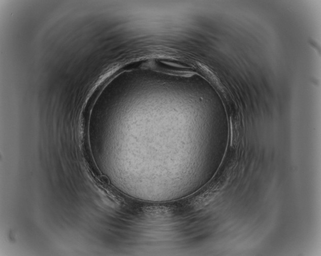 X0000096660435200802191310