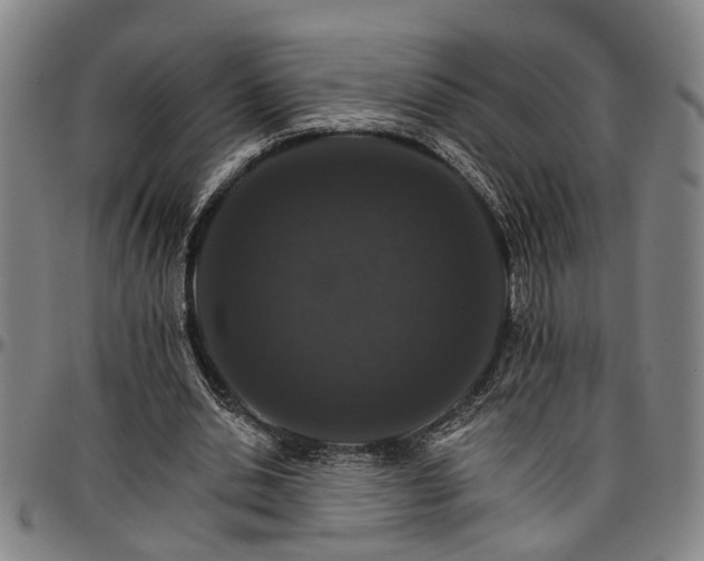 X0000096660438200802191310