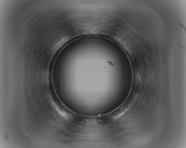 X0000096660439200802191310