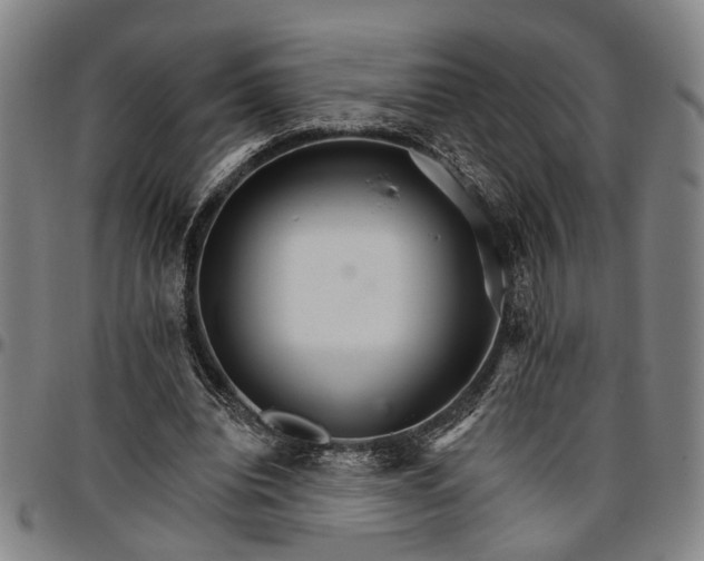 X0000096660440200802191310