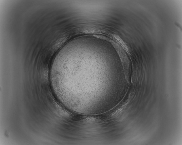 X0000096660441200802191310