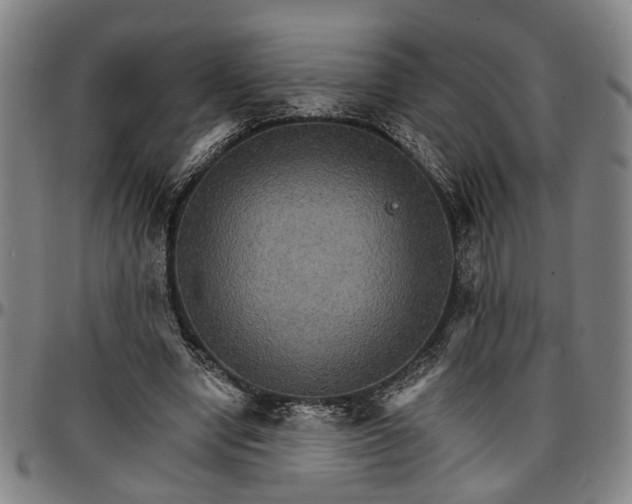 X0000096660442200802191310