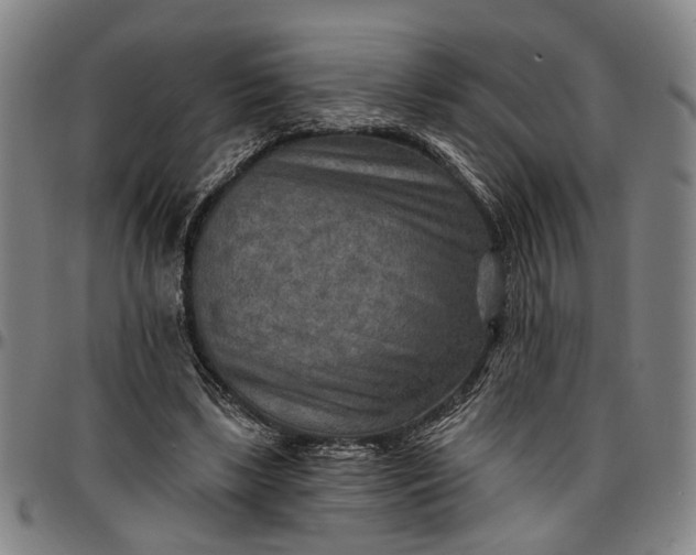 X0000096660443200802191310