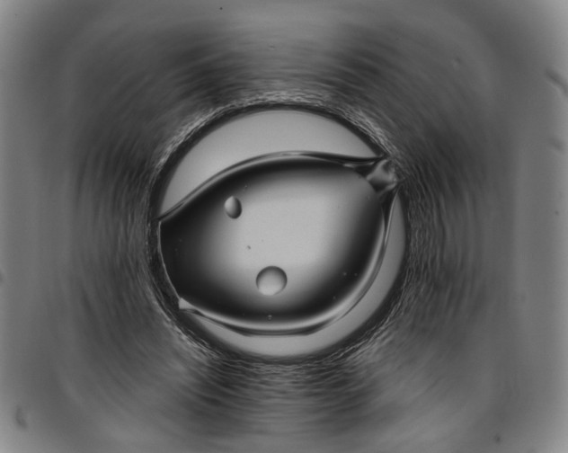 X0000096660444200802191310