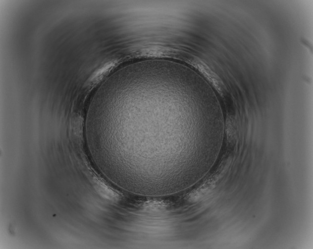 X0000096660445200802191310