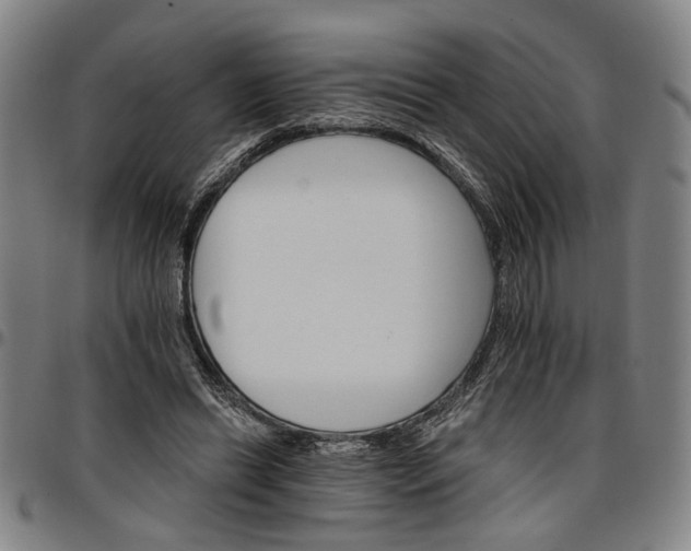 X0000096660446200802191310